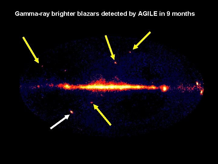 Gamma-ray brighter blazars detected by AGILE in 9 months 