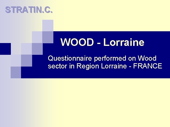 STRATIN. C. WOOD - Lorraine Questionnaire performed on Wood sector in Region Lorraine -