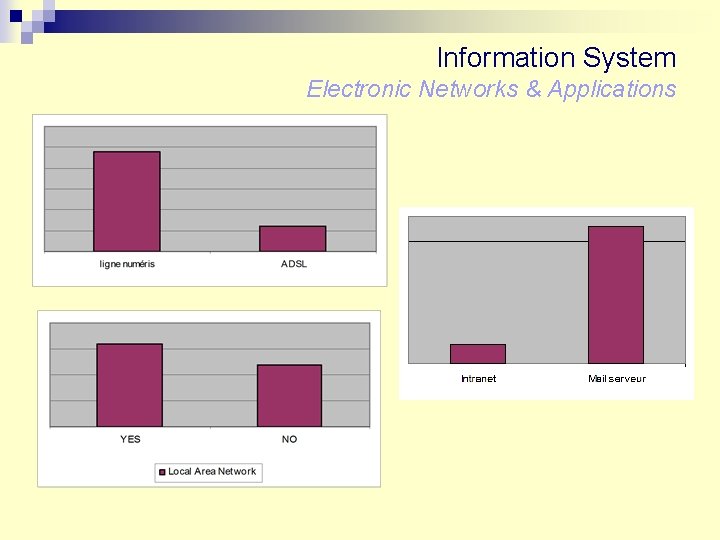 Information System Electronic Networks & Applications 