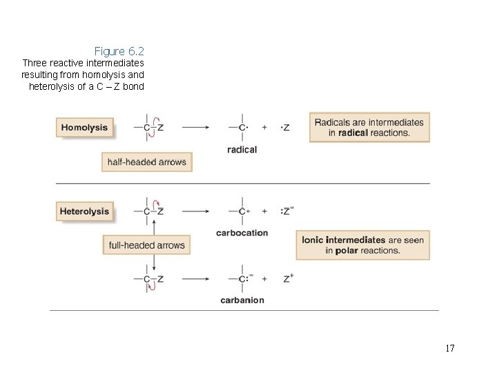 Figure 6. 2 Three reactive intermediates resulting from homolysis and heterolysis of a C