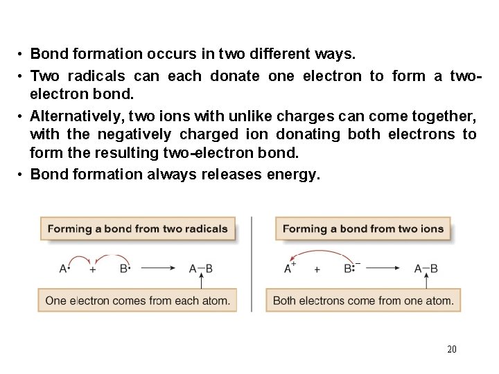  • Bond formation occurs in two different ways. • Two radicals can each