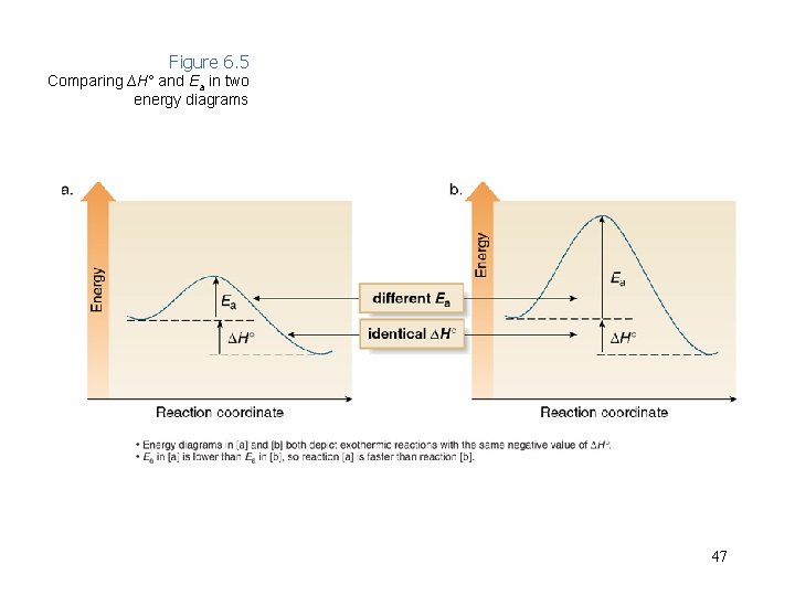 Figure 6. 5 Comparing ∆H° and Ea in two energy diagrams 47 