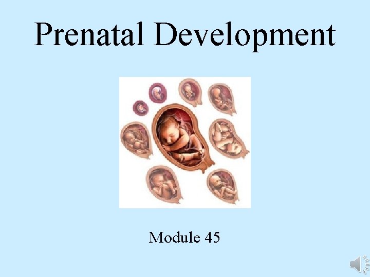 Prenatal Development Module 45 