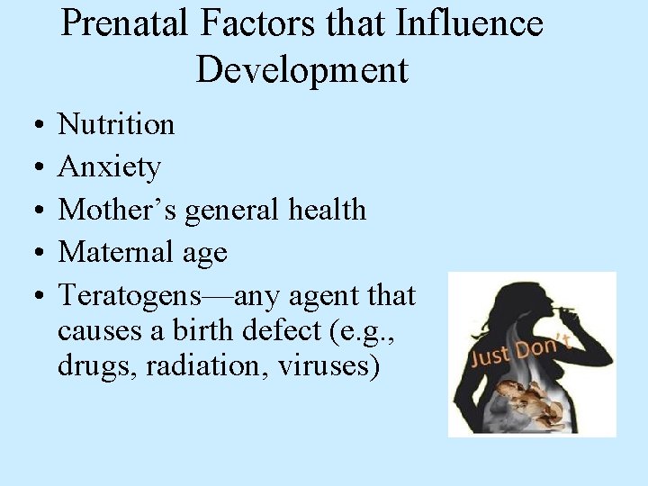 Prenatal Factors that Influence Development • • • Nutrition Anxiety Mother’s general health Maternal