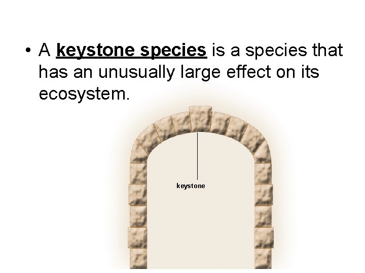  • A keystone species is a species that has an unusually large effect