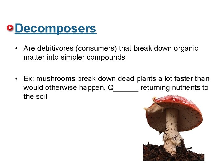 Decomposers • Are detritivores (consumers) that break down organic matter into simpler compounds •