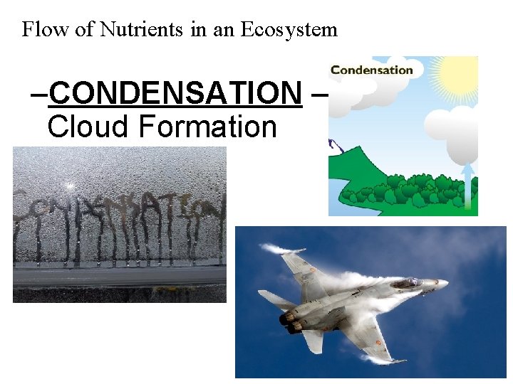 Flow of Nutrients in an Ecosystem –CONDENSATION – Cloud Formation 