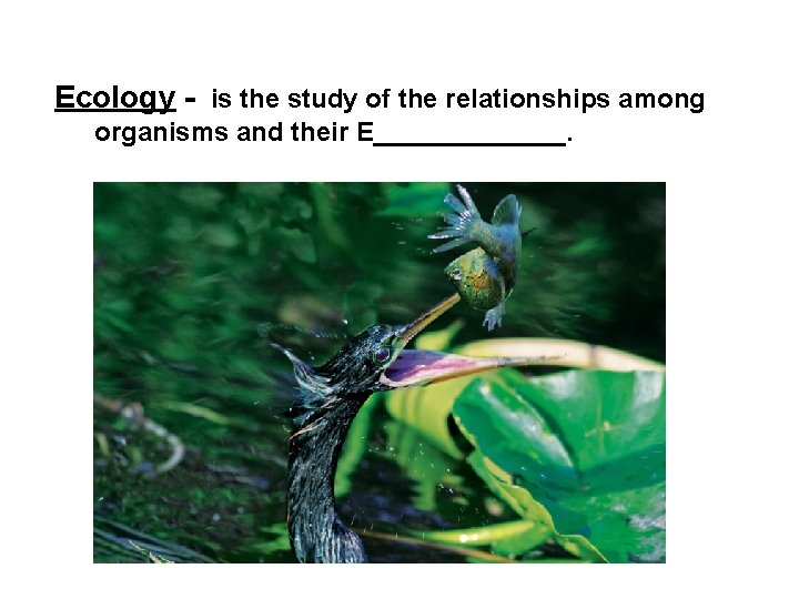 Ecology - is the study of the relationships among organisms and their E_______. 