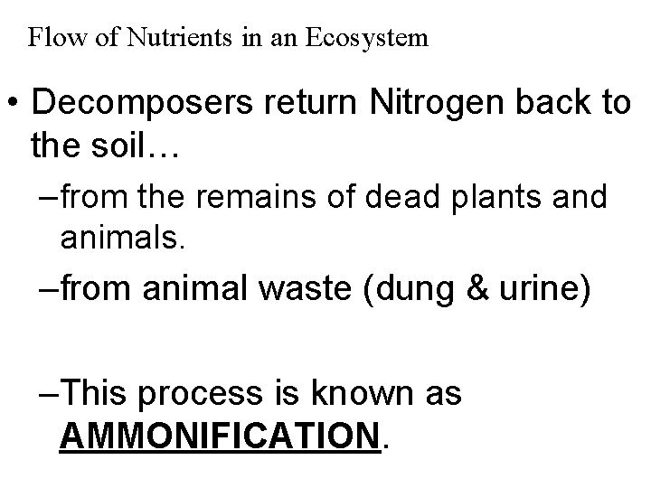 Flow of Nutrients in an Ecosystem • Decomposers return Nitrogen back to the soil…