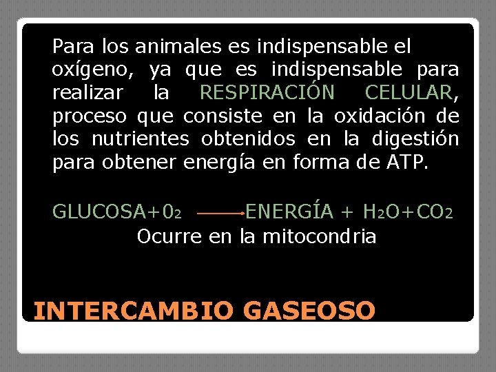 Para los animales es indispensable el oxígeno, ya que es indispensable para realizar la
