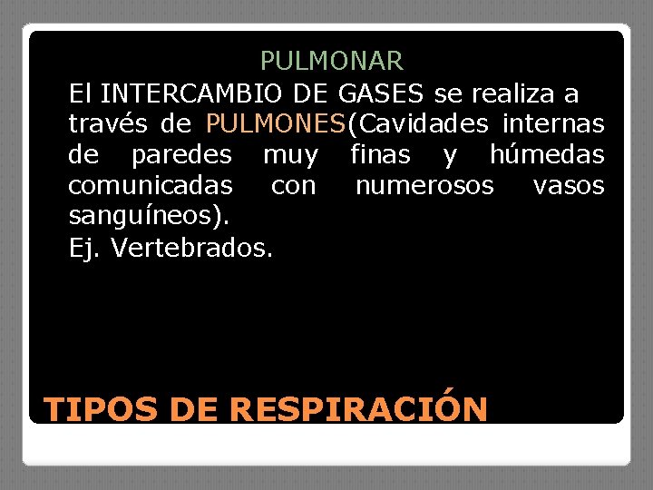 PULMONAR El INTERCAMBIO DE GASES se realiza a través de PULMONES(Cavidades internas de paredes