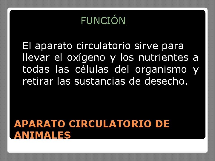 FUNCIÓN El aparato circulatorio sirve para llevar el oxígeno y los nutrientes a todas