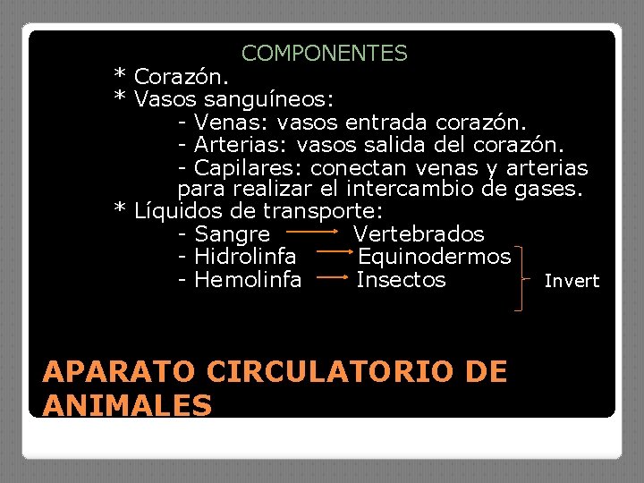 COMPONENTES * Corazón. * Vasos sanguíneos: - Venas: vasos entrada corazón. - Arterias: vasos