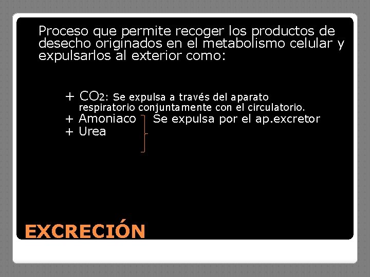 Proceso que permite recoger los productos de desecho originados en el metabolismo celular y
