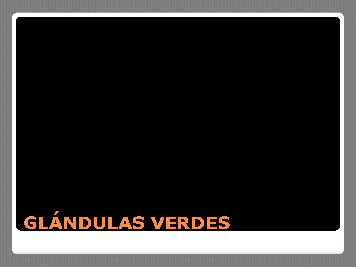 GLÁNDULAS VERDES 