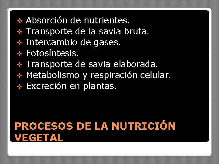 v v v v Absorción de nutrientes. Transporte de la savia bruta. Intercambio de