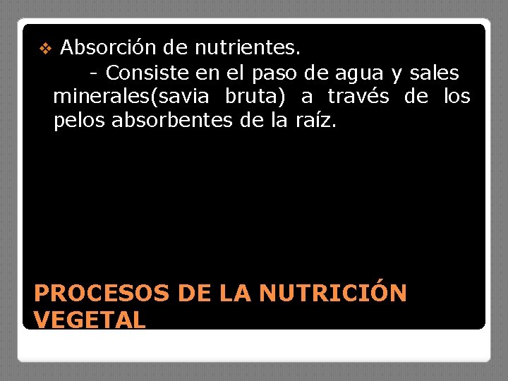 v Absorción de nutrientes. - Consiste en el paso de agua y sales minerales(savia