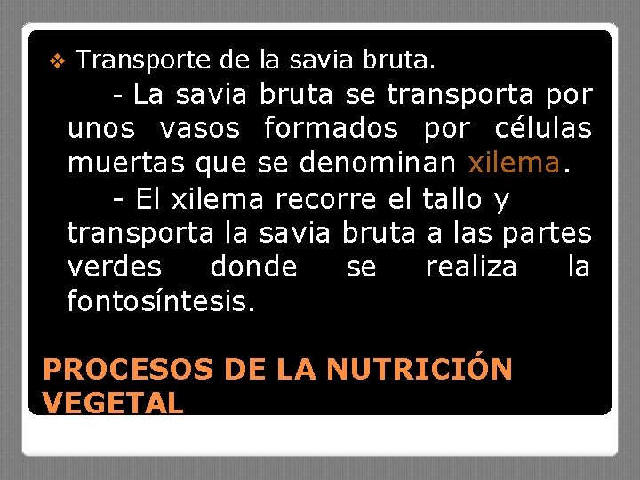 v Transporte de la savia bruta. - La savia bruta se transporta por unos
