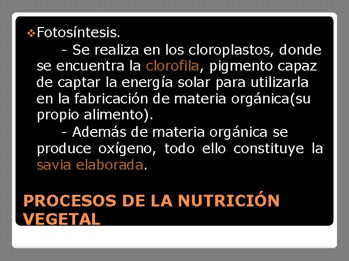 v. Fotosíntesis. - Se realiza en los cloroplastos, donde se encuentra la clorofila, pigmento