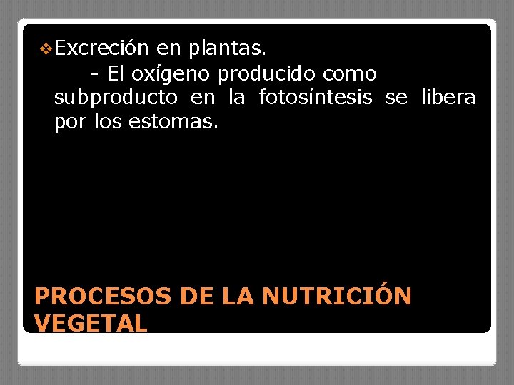 v. Excreción en plantas. - El oxígeno producido como subproducto en la fotosíntesis se