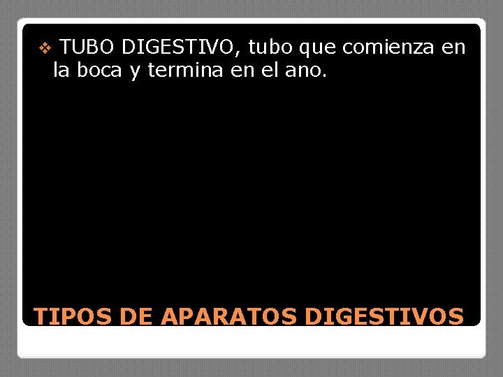 v TUBO DIGESTIVO, tubo que comienza en la boca y termina en el ano.