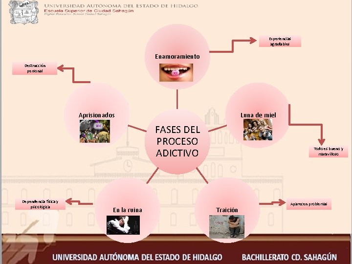 Experiencias agradables Enamoramiento Destrucción personal Aprisionados Luna de miel FASES DEL PROCESO ADICTIVO Dependencia