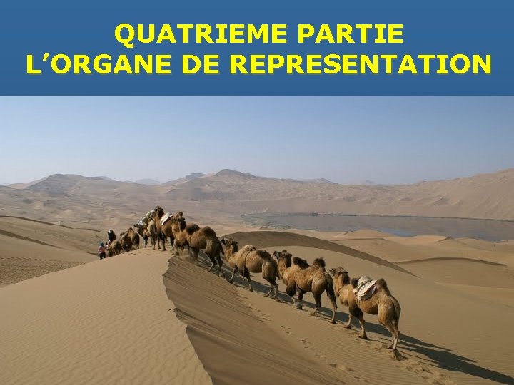 QUATRIEME PARTIE L’ORGANE DE REPRESENTATION 