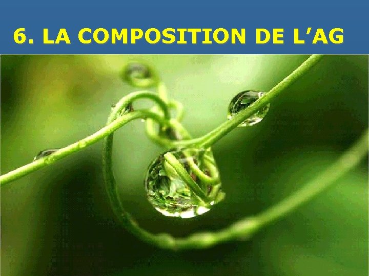 6. LA COMPOSITION DE L’AG 