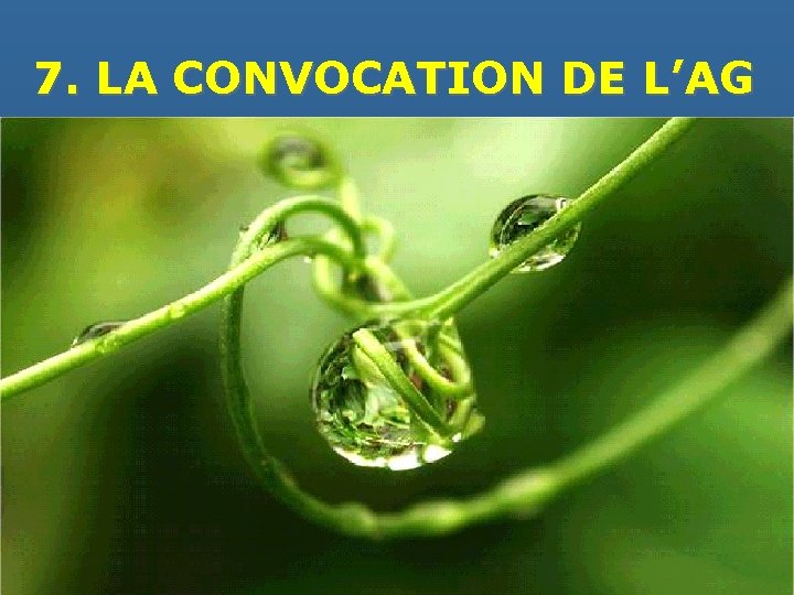 7. LA CONVOCATION DE L’AG 