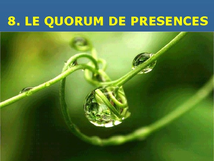 8. LE QUORUM DE PRESENCES 