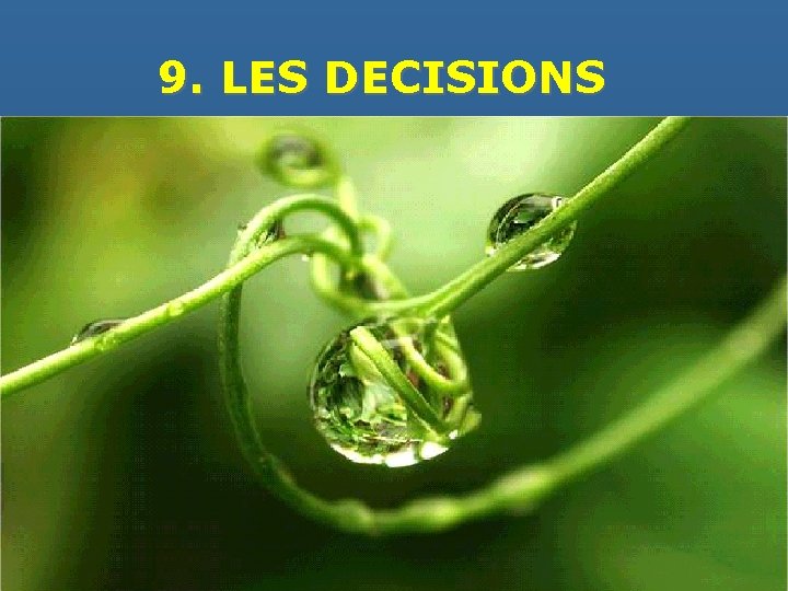 9. LES DECISIONS 