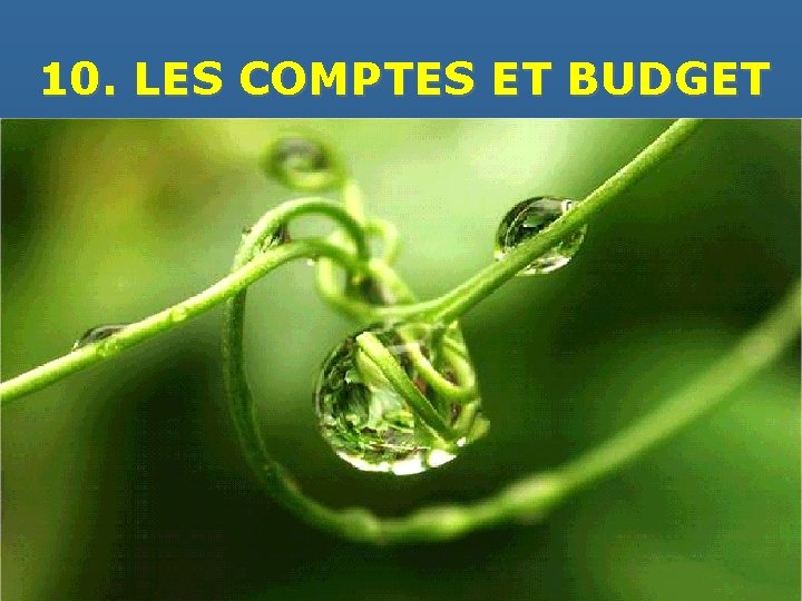 10. LES COMPTES ET BUDGET 
