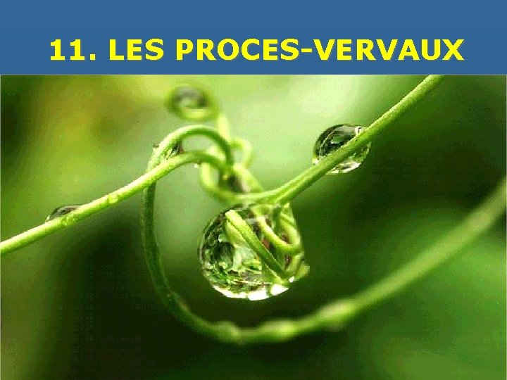 11. LES PROCES-VERVAUX 