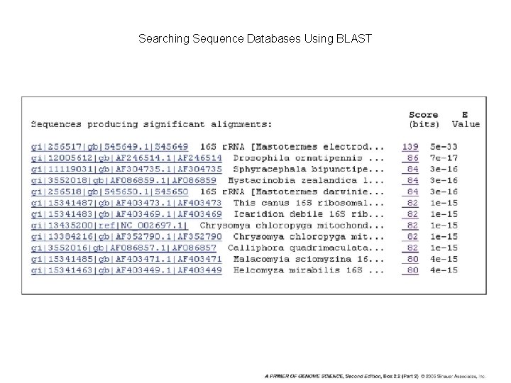 Searching Sequence Databases Using BLAST 