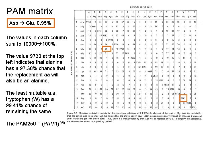PAM matrix Asp Glu, 0. 95% The values in each column sum to 10000