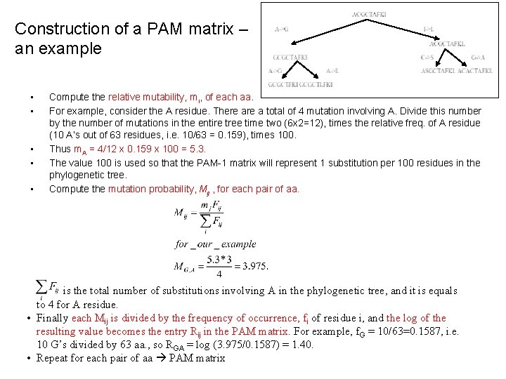Construction of a PAM matrix – an example • • • Compute the relative