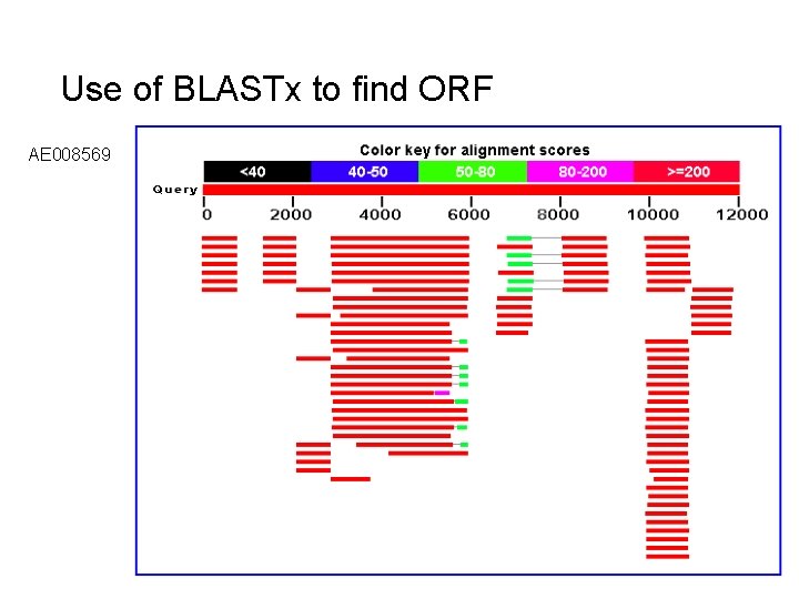 Use of BLASTx to find ORF AE 008569 