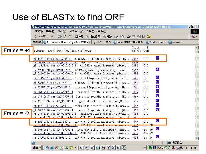 Use of BLASTx to find ORF Frame = +1 Frame = -2 