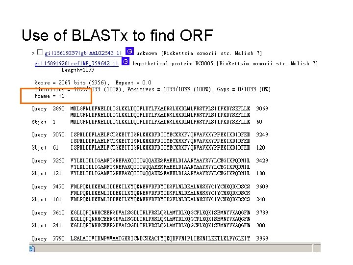 Use of BLASTx to find ORF 