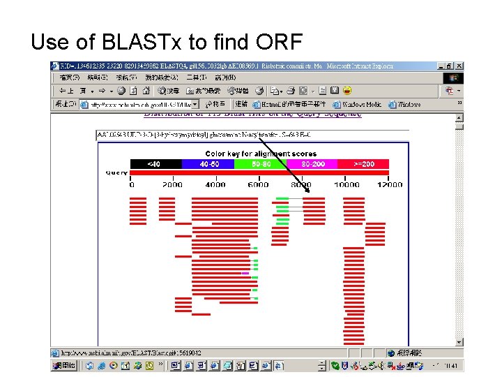 Use of BLASTx to find ORF 
