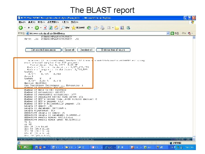 The BLAST report 