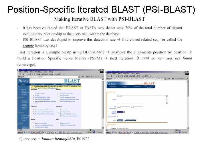 Position-Specific Iterated BLAST (PSI-BLAST) 