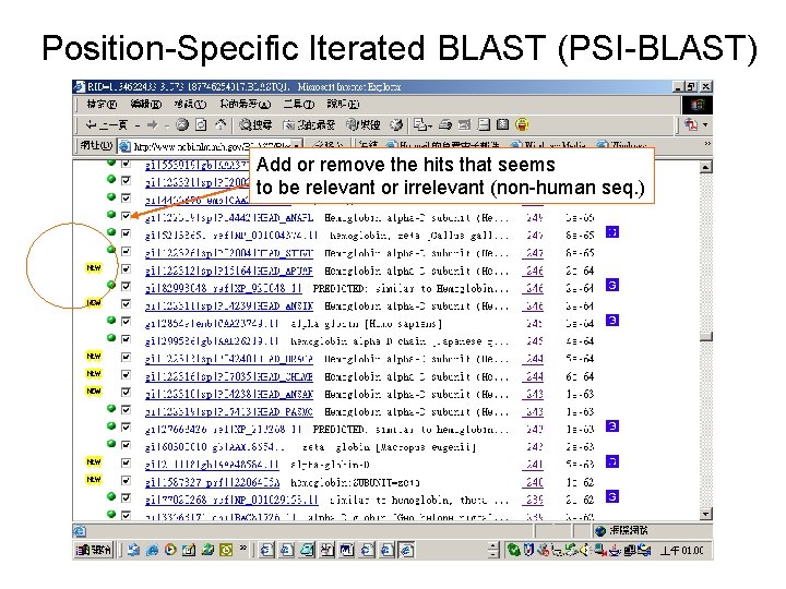 Position-Specific Iterated BLAST (PSI-BLAST) Add or remove the hits that seems to be relevant