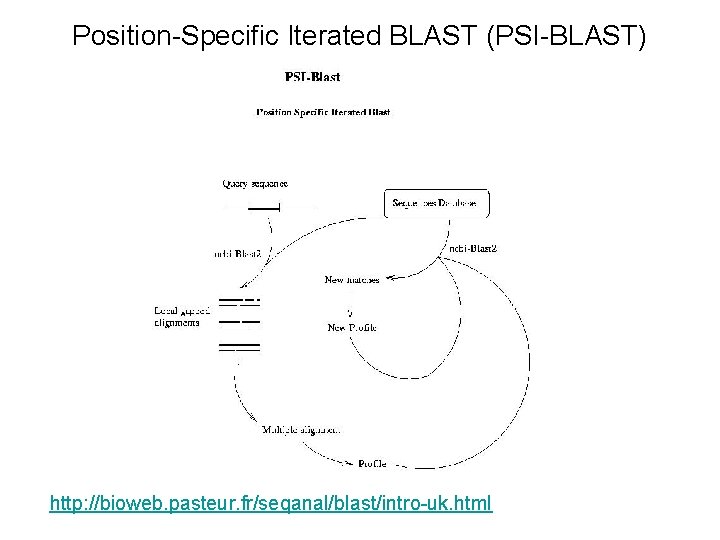 Position-Specific Iterated BLAST (PSI-BLAST) http: //bioweb. pasteur. fr/seqanal/blast/intro-uk. html 