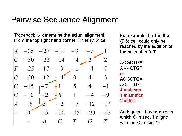 Pairwise Sequence Alignment Traceback determine the actual alignment From the top right hand corner