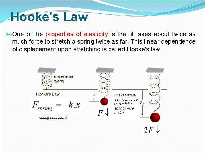 Hooke's Law One of the properties of elasticity is that it takes about twice