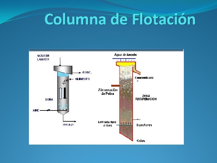 Columna de Flotación 