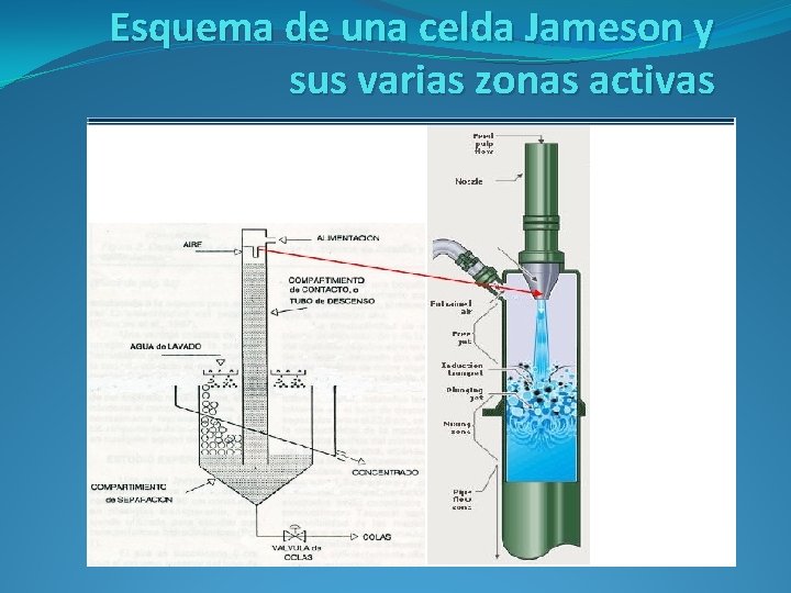 Esquema de una celda Jameson y sus varias zonas activas 