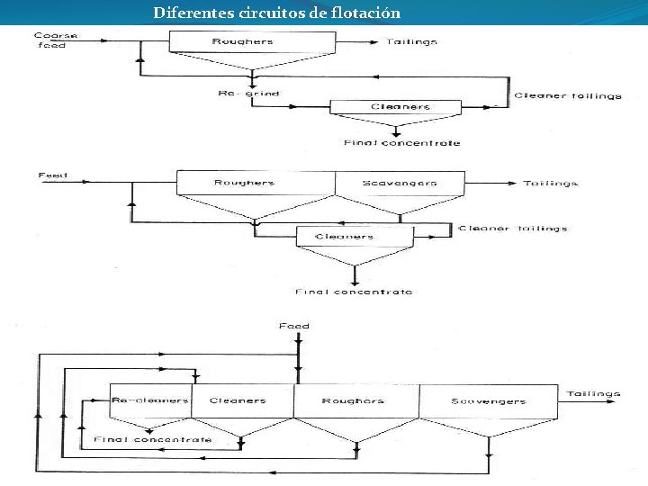 Diferentes circuitos de flotación Etapas de la flotación 