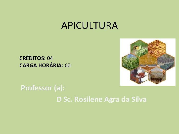 APICULTURA CRÉDITOS: 04 CARGA HORÁRIA: 60 Professor (a): D Sc. Rosilene Agra da Silva